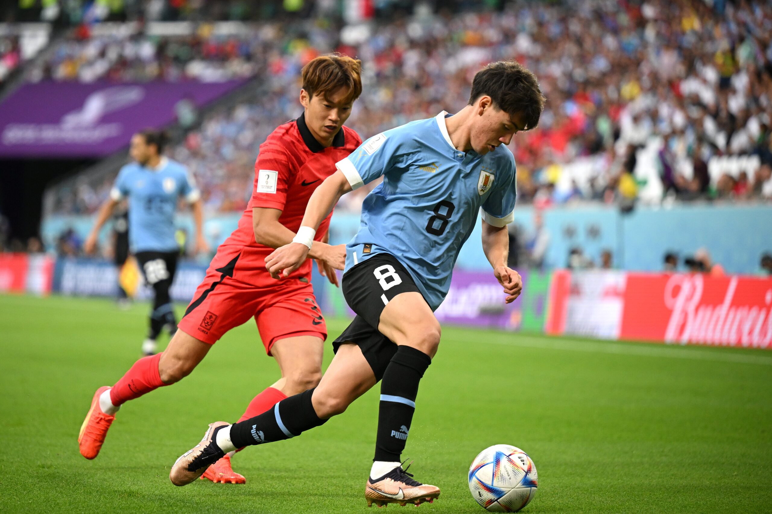 CDM 2022: Uruguay 0-0 Corée du Sud (mi-temps)