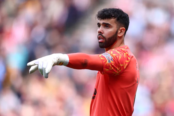 Arsenal fait une offre d’ouverture pour David Raya à Brentford