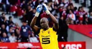 Stade Rennais : Alfred Gomis va retrouver un coéquipier, champion d’Afrique, en Ligue 1