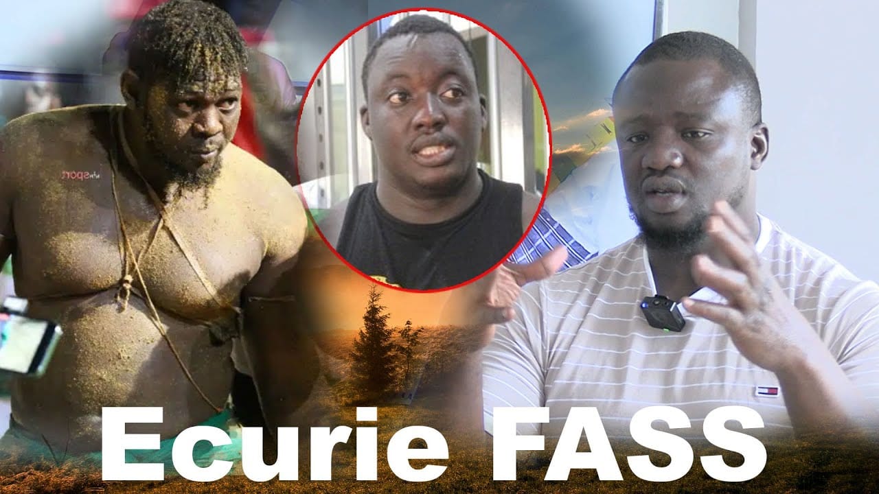 Papa Sow dévoile les futurs champions de l’écurie Fass