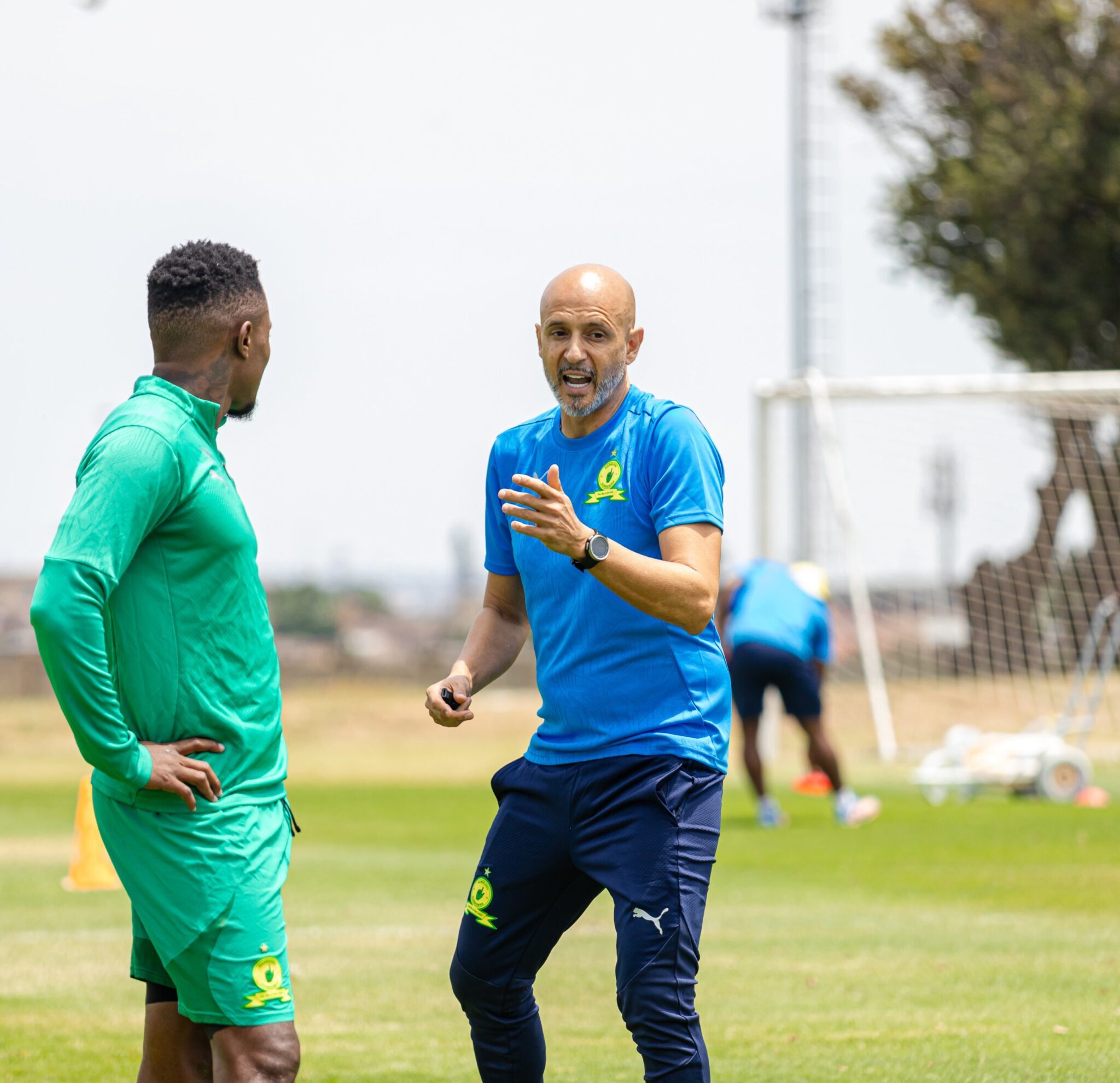 Afrique du Sud : Nouveau défi pour Miguel Cardoso à la tête des Mamelodi Sundowns