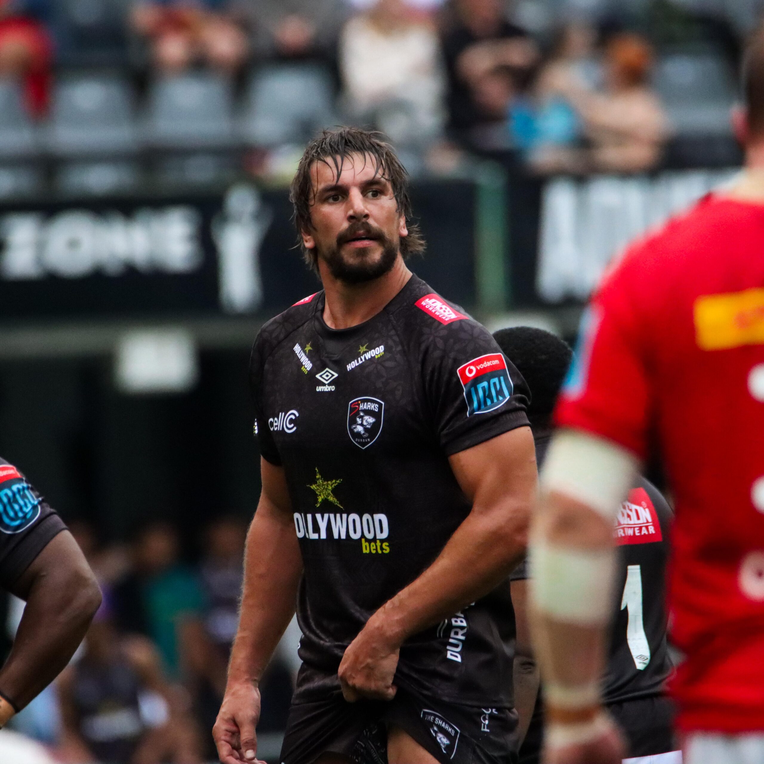 Afrique du Sud : Une équipe des Sharks renforcée de Springboks pour la Champions Cup