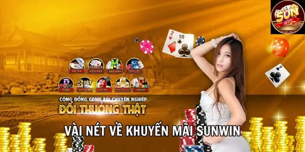 Offres promotionnelles attractives sur Sunwin