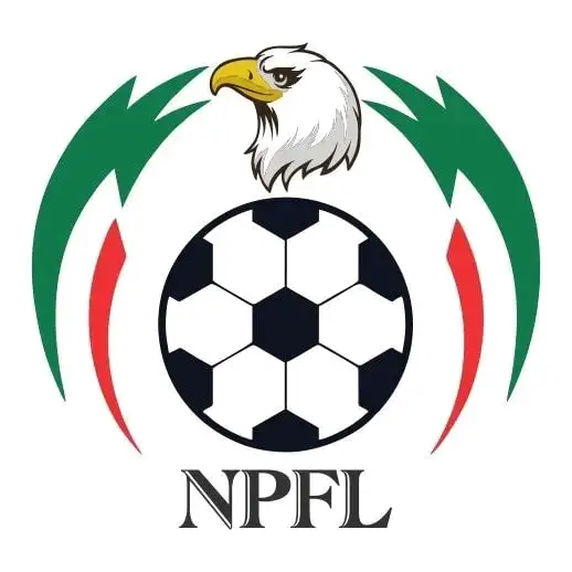 Nigeria : Sanctions contre un responsable de Sunshine Stars pour déclarations inappropriées
