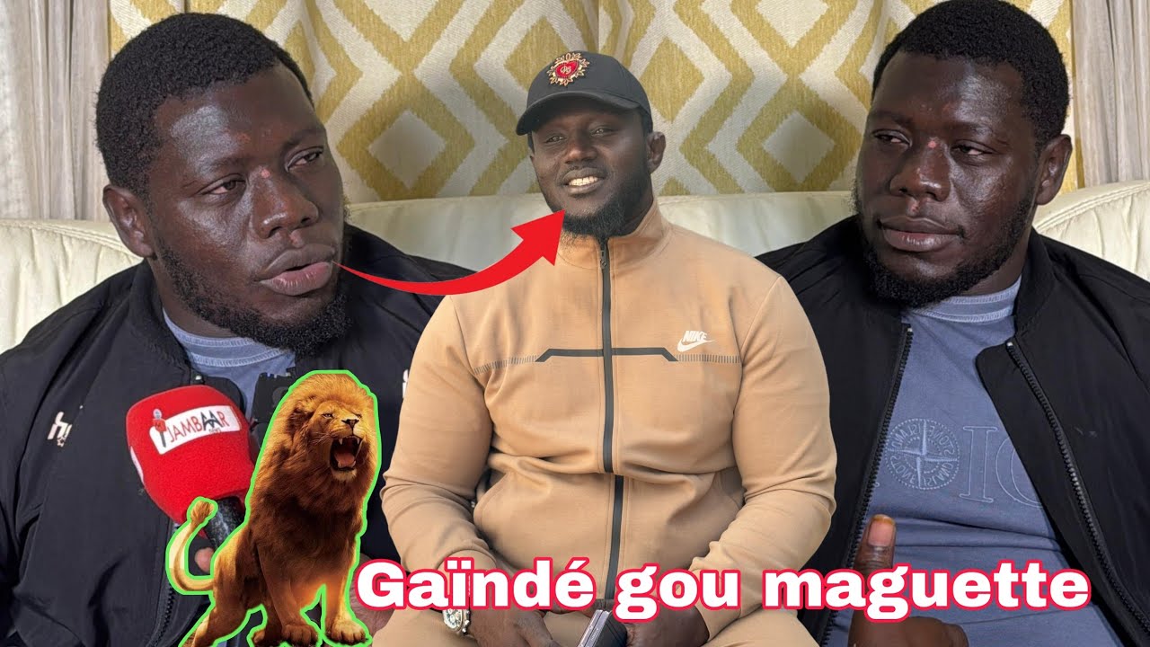 Afrika: Franc provoque Balla Gaye 2 après sa victoire contre Ama Baldé