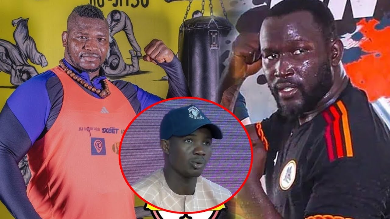 Des combats en négociation pour Tapha Tine, Alioune Sèye 2 et Gris Bordeaux au Sénégal