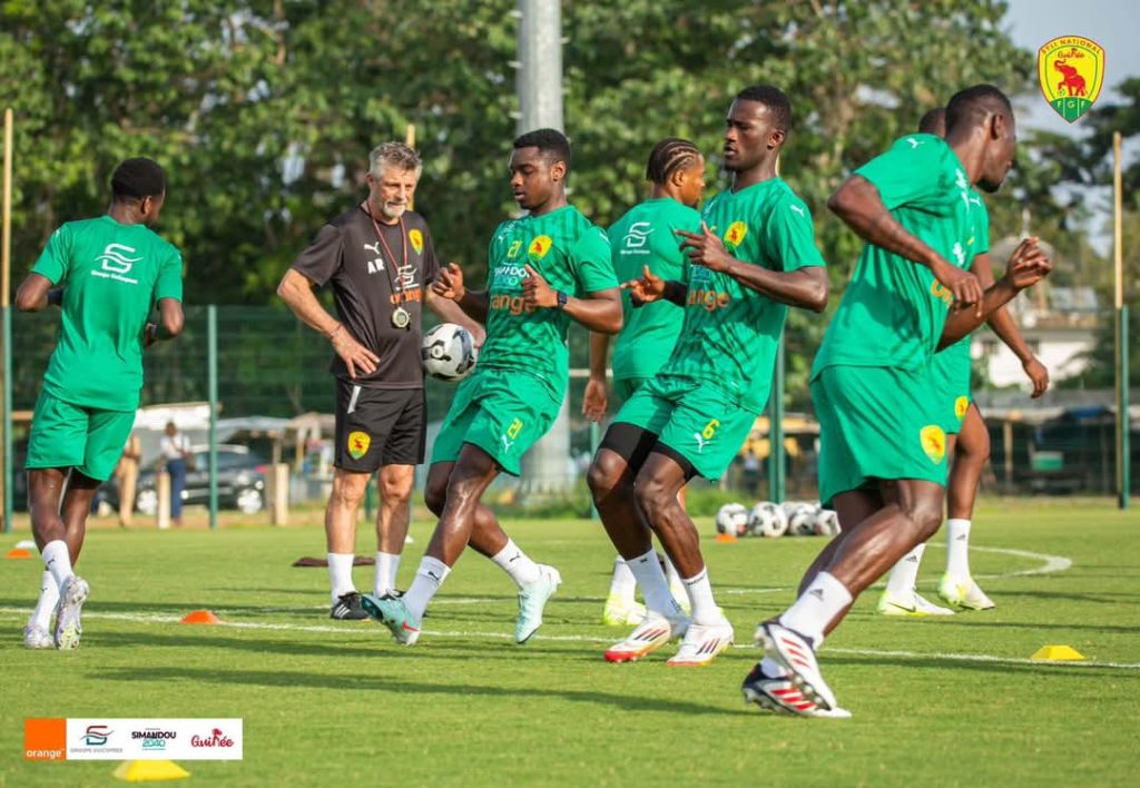 Guinée : L