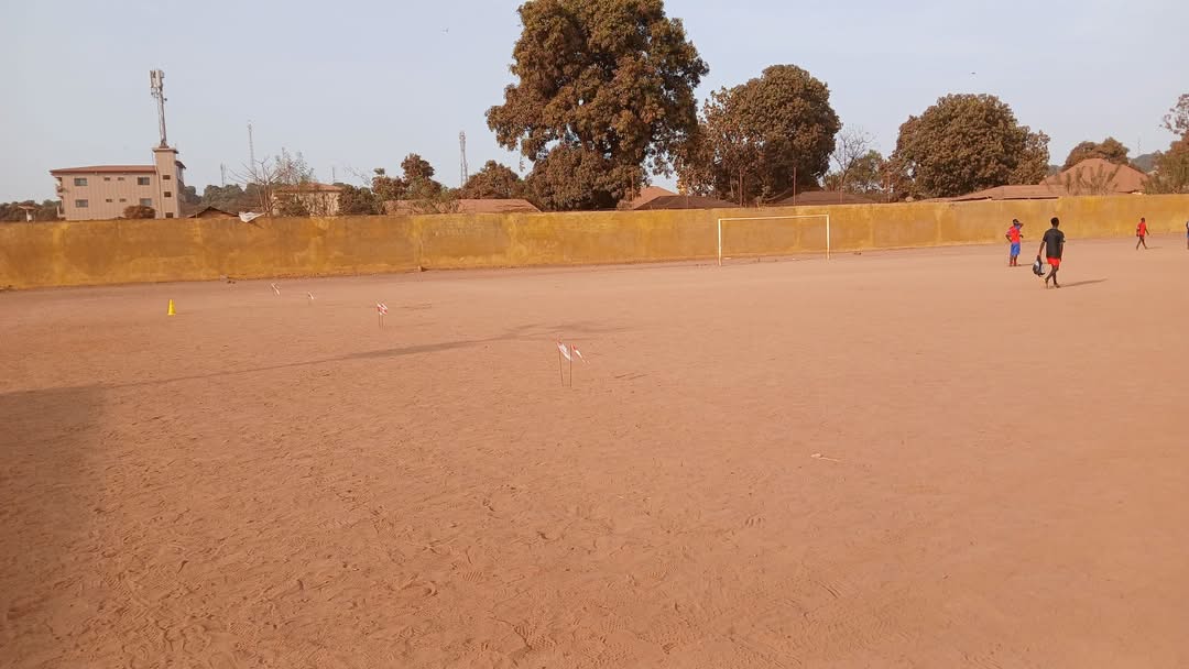 Guinée : Une pelouse synthétique pour le stade de Boké
