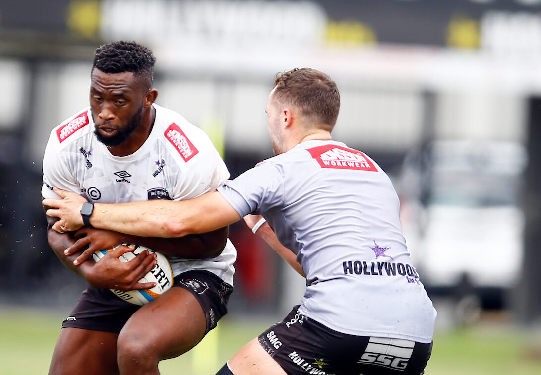 Afrique du Sud : Les Sharks renforcés pour leur tournée au Royaume-Uni