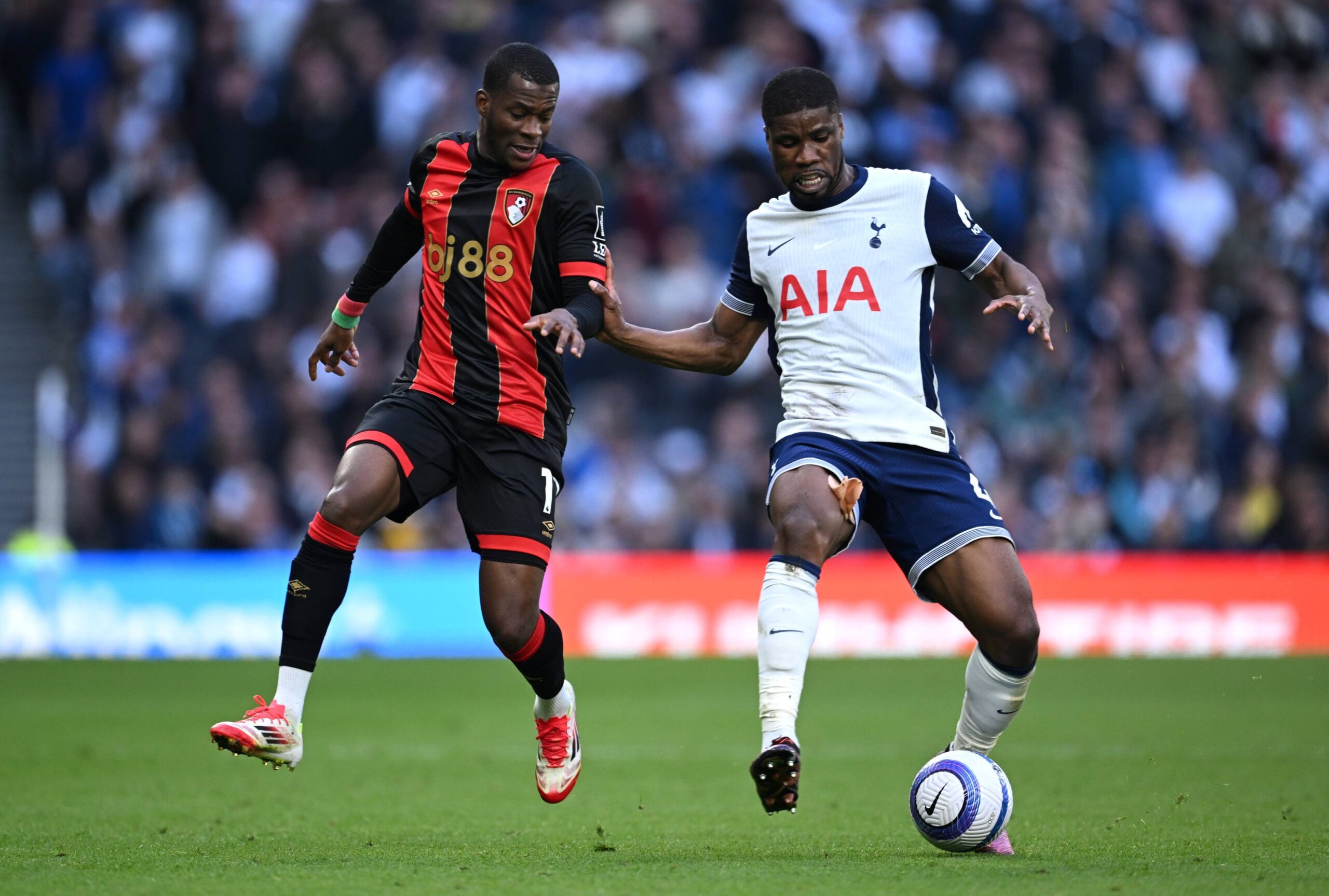 Angleterre : Postecoglou annonce des absences pour le choc Tottenham-Chelsea