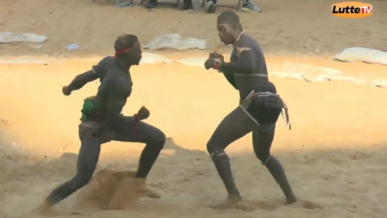 Combat de lutte au Sénégal : Cheikh Fall Maladio contre Aligator