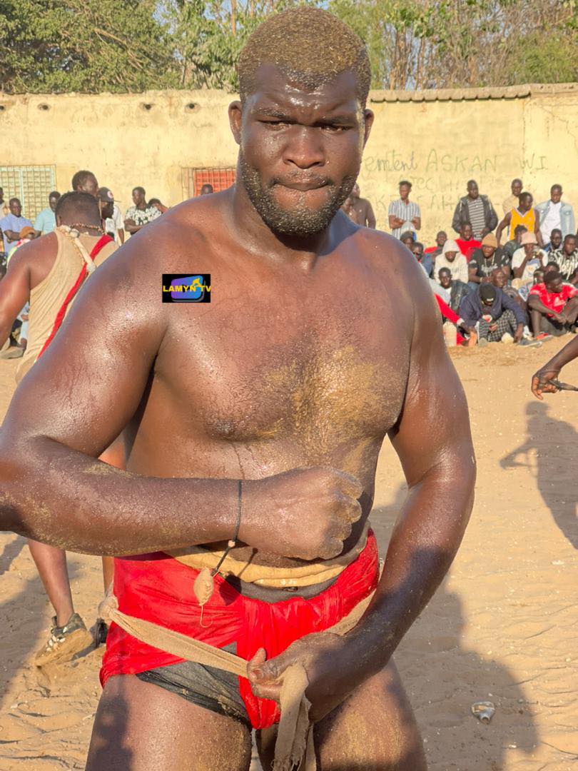 Paul Menthe et Cheikh Diagne dominent les compétitions de lutte au Sénégal