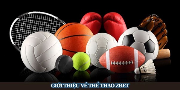 Zbet Sports : Une Plateforme de Paris Sportifs Diversifiée et Sécurisée