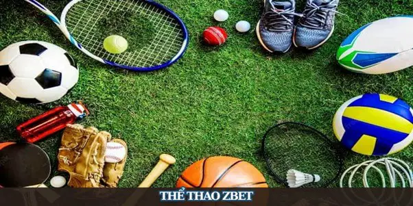 Zbet Sports : Une Plateforme de Paris Sportifs Diversifiée et Sécurisée