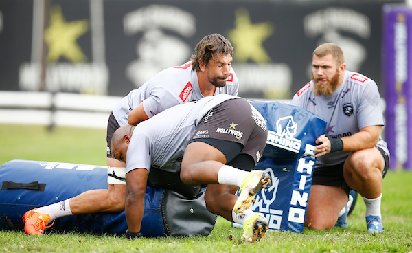 Afrique du Sud : Eben Etzebeth de retour pour le quart de finale des Sharks contre Munster