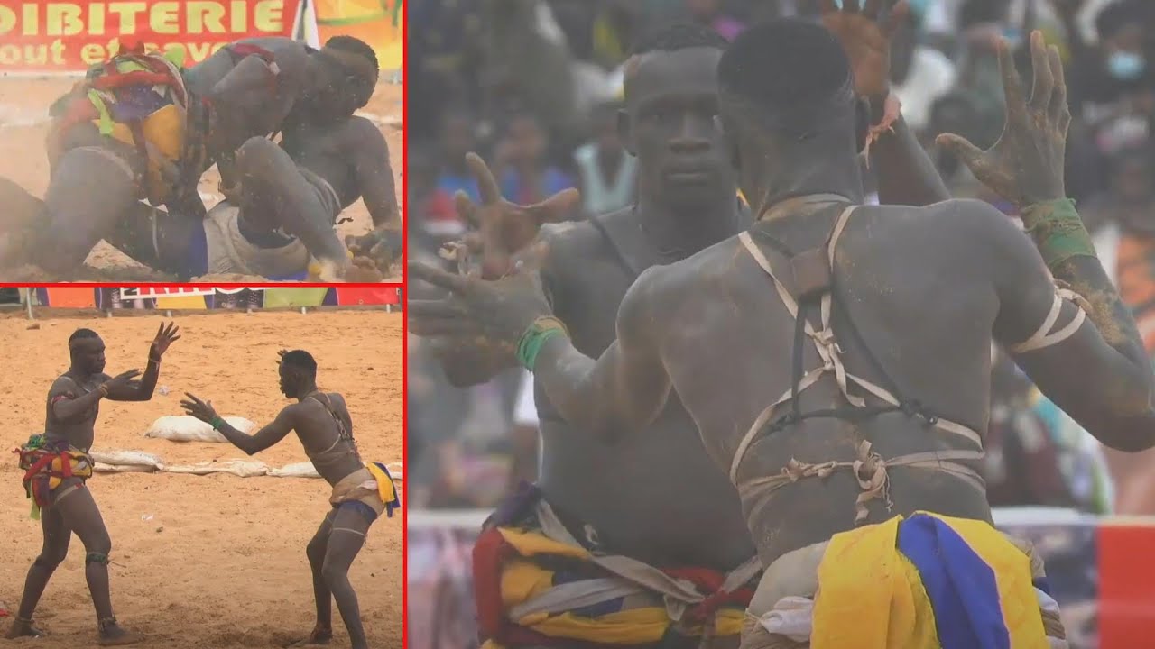 Combat Ama Dia vs Siteu Farramarene au Sénégal : découvrez le vainqueur