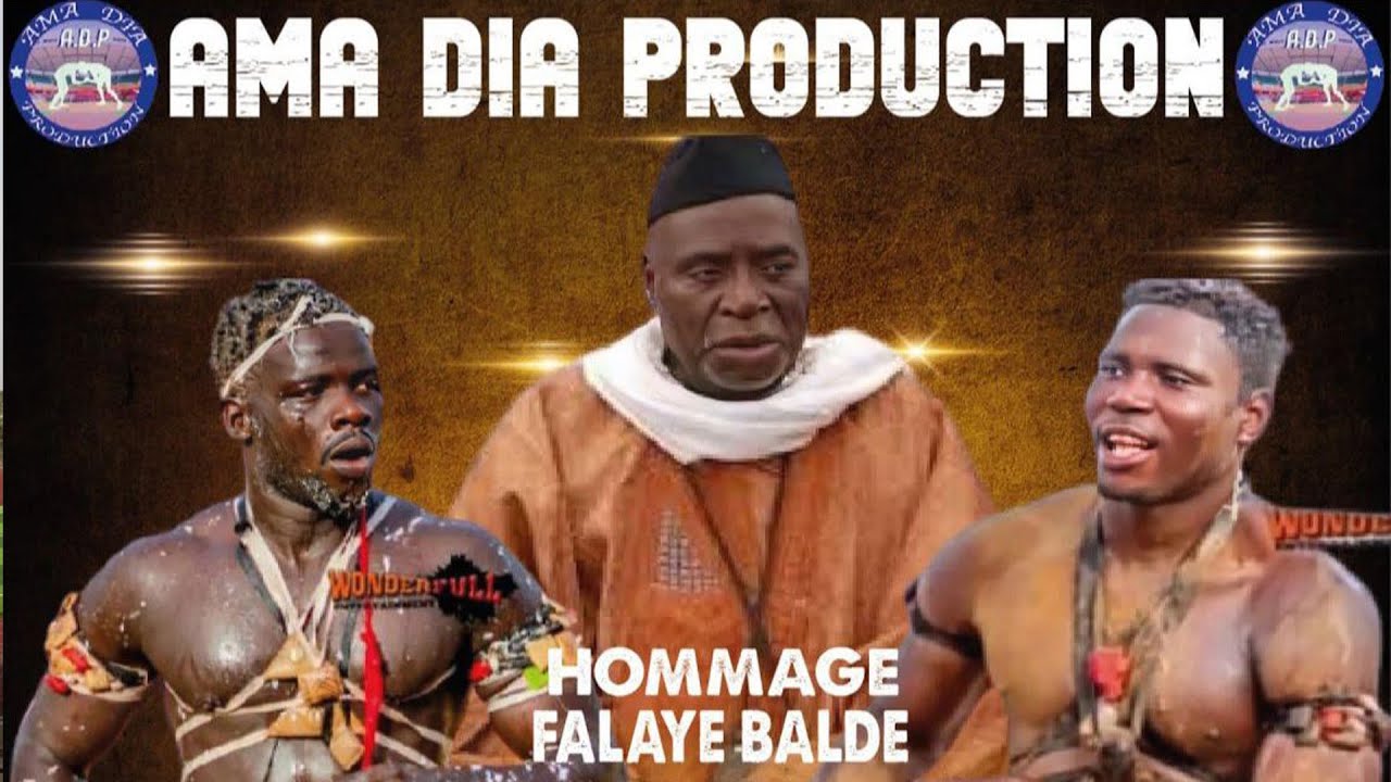 En direct du Sénégal : Combat Reww contre Mbaye Difoncé ce mercredi