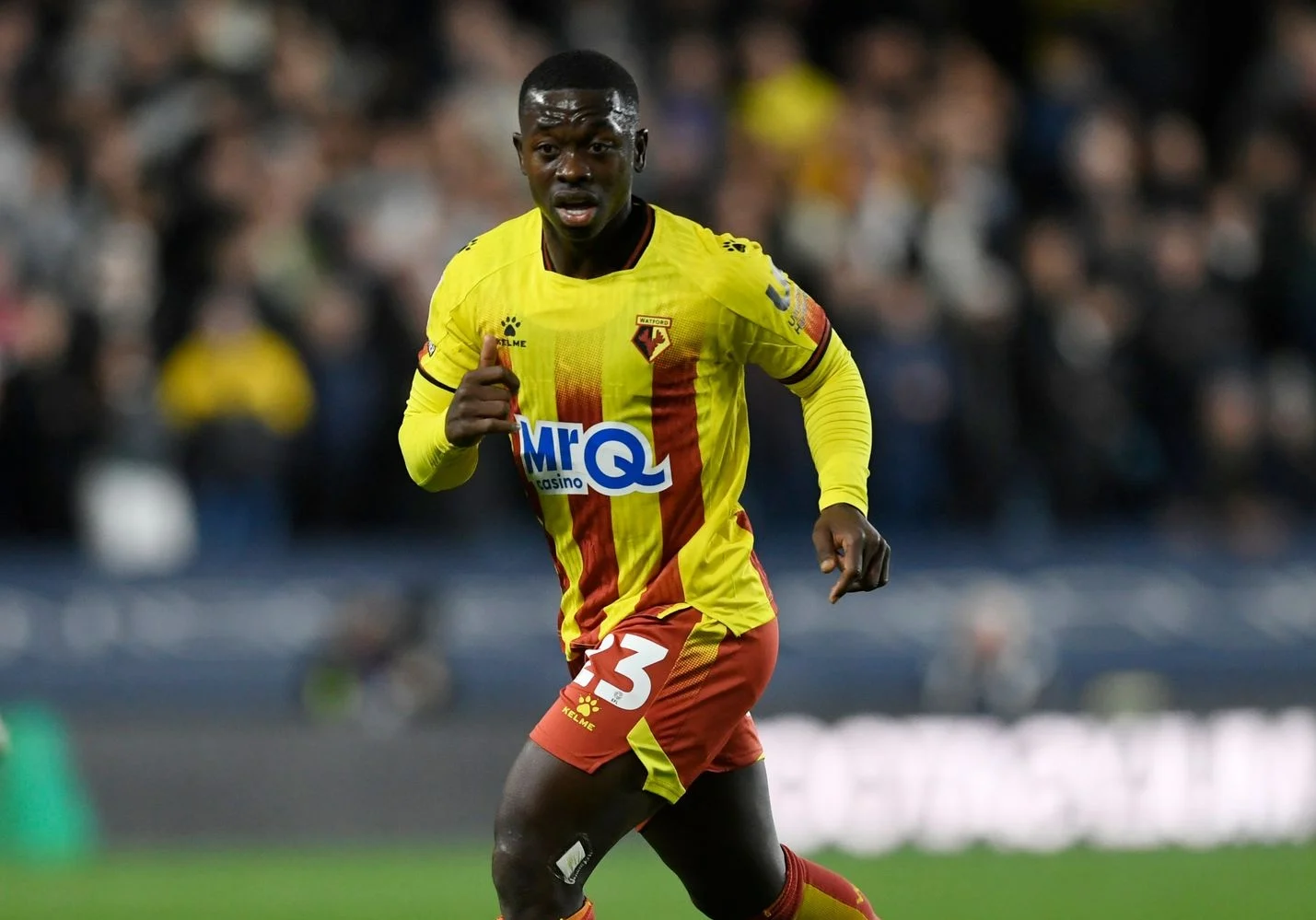 Immédiatement réintégré par le nouvel intérimaire, un cadre des Lions retrouve le terrain après quatre mois de mise à l&rsquo;écart