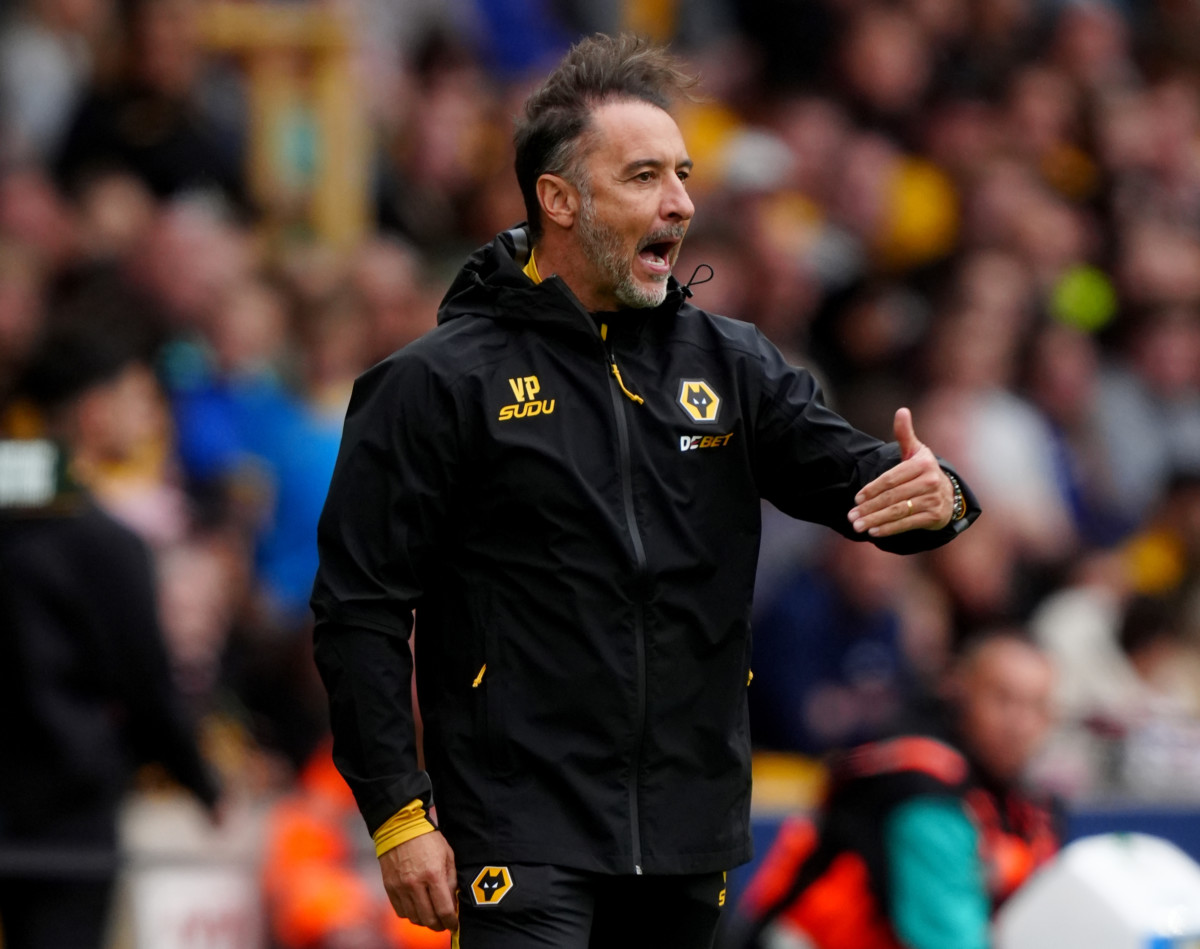 Wolves manager Vitor Pereira during a Premier League match against Everton at Molineux